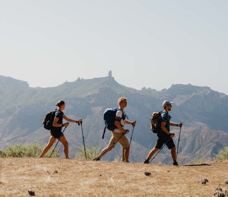 trek canaries